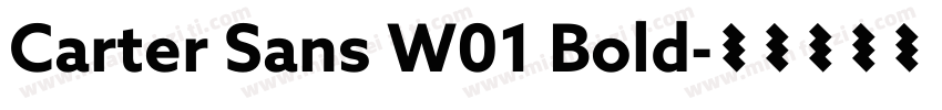 Carter Sans W01 Bold字体转换